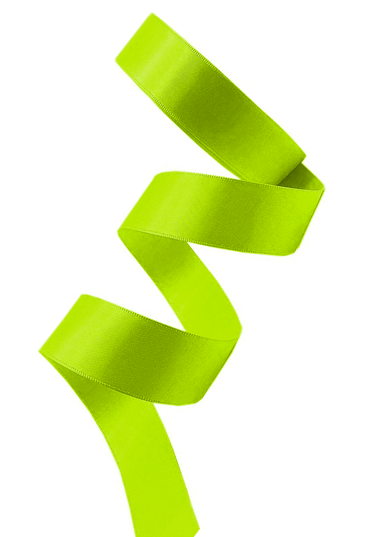 Satin ribbon corset laces in absinthe